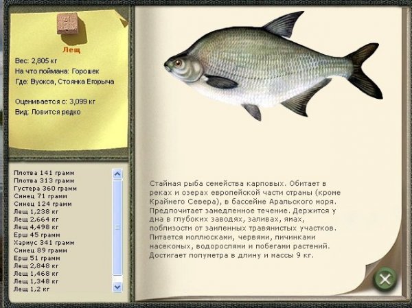 Играть бесплатно Русская рыбалка 2