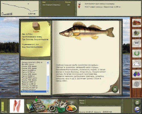Русская рыбалка 3 повысить разряд