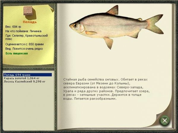 Русская рыбалка коды на телефон