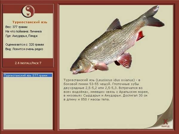 Коды на Русскую рыбалку 2.0