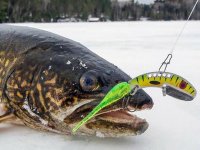 Зима: рыбалка на приманку